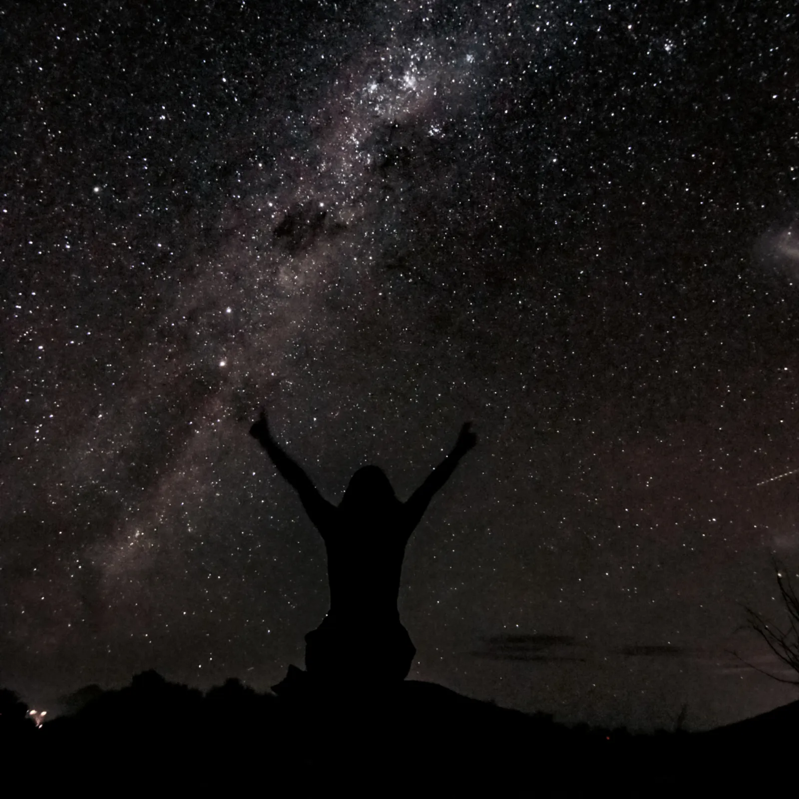 A silhouetted guest raises both arms on a desert ridge under the dense star field of the Milky Way