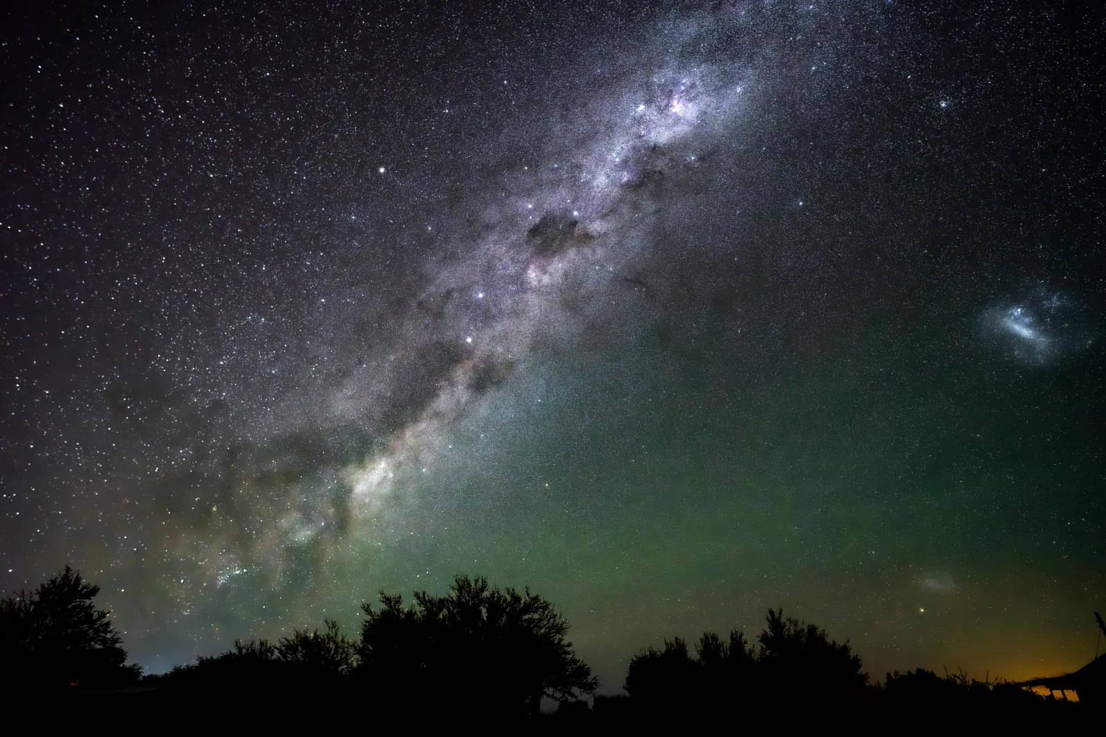 The Milky Way and the Large Magellanic Cloud above a line of dark trees, with green airglow near the horizon