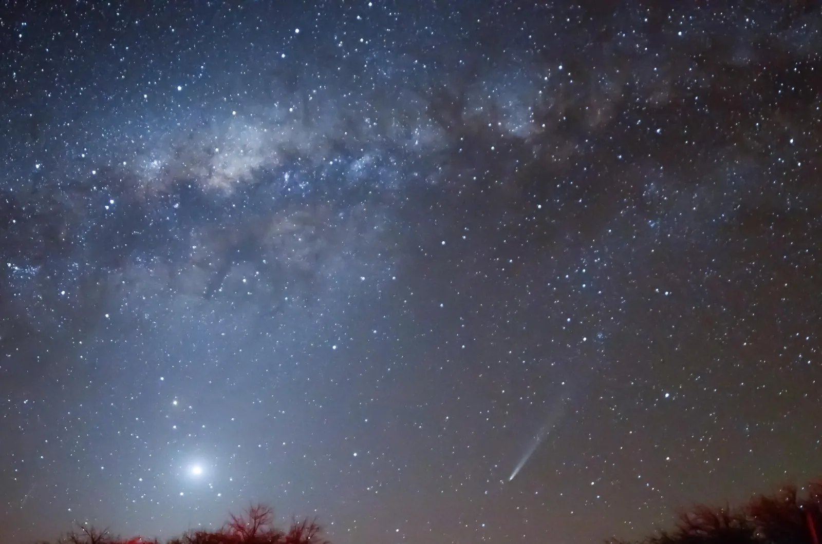 A comet with a thin tail and a bright planet shine beneath the Milky Way over silhouetted desert trees