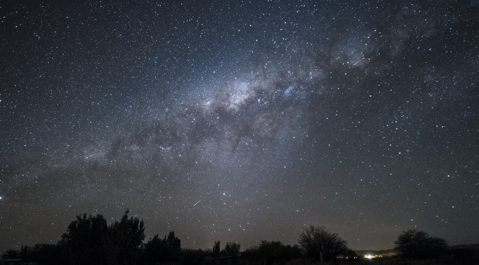 Wide view of the Milky Way stretching across the night sky above silhouetted trees at a desert site near San Pedro