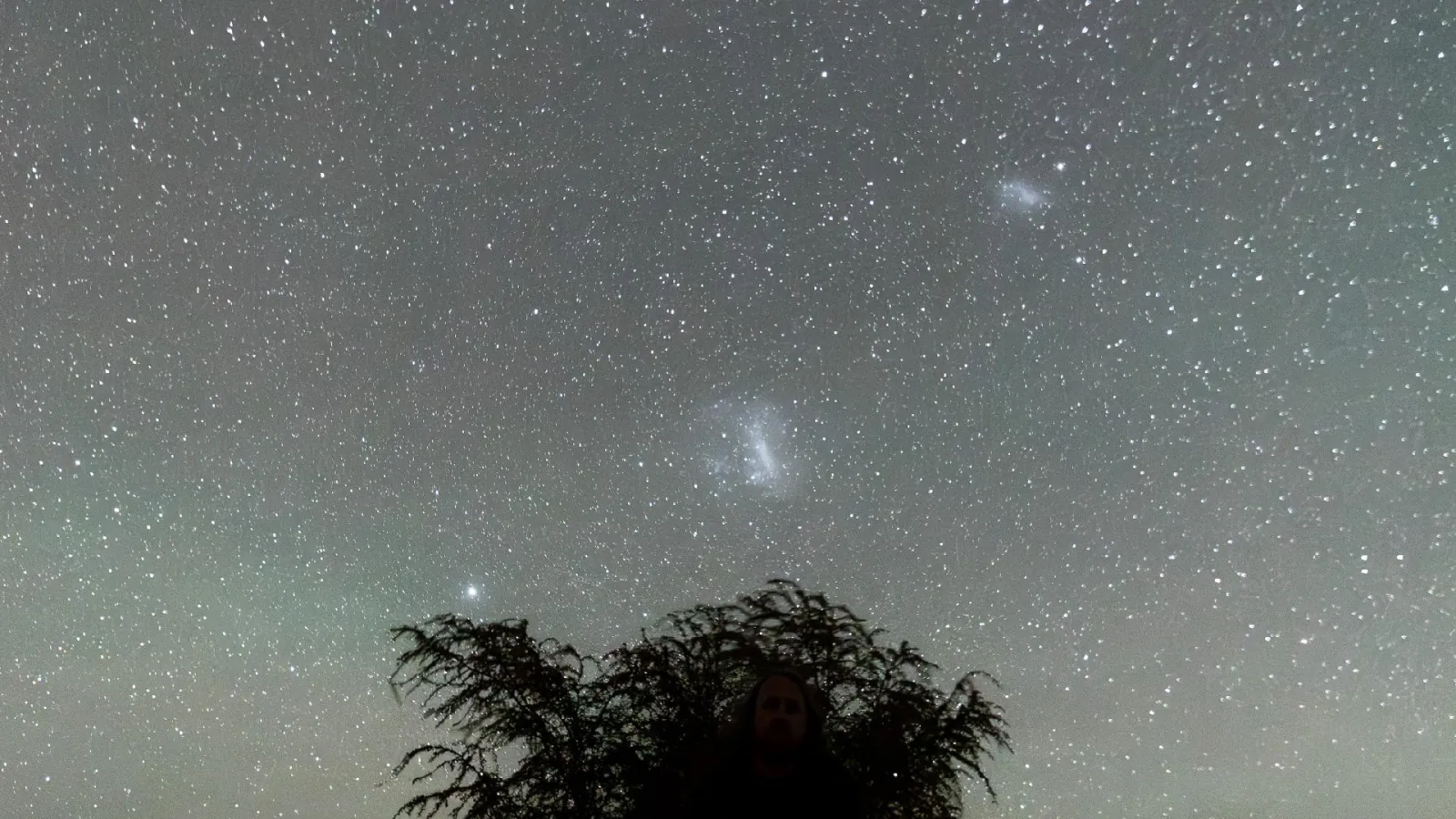 The Large and Small Magellanic Clouds glow in a star-filled sky above a dark desert tree silhouette