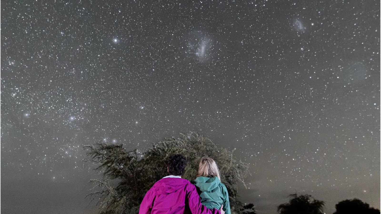 Two guests in colorful jackets sit by a desert tree under the Magellanic Clouds and a starry sky