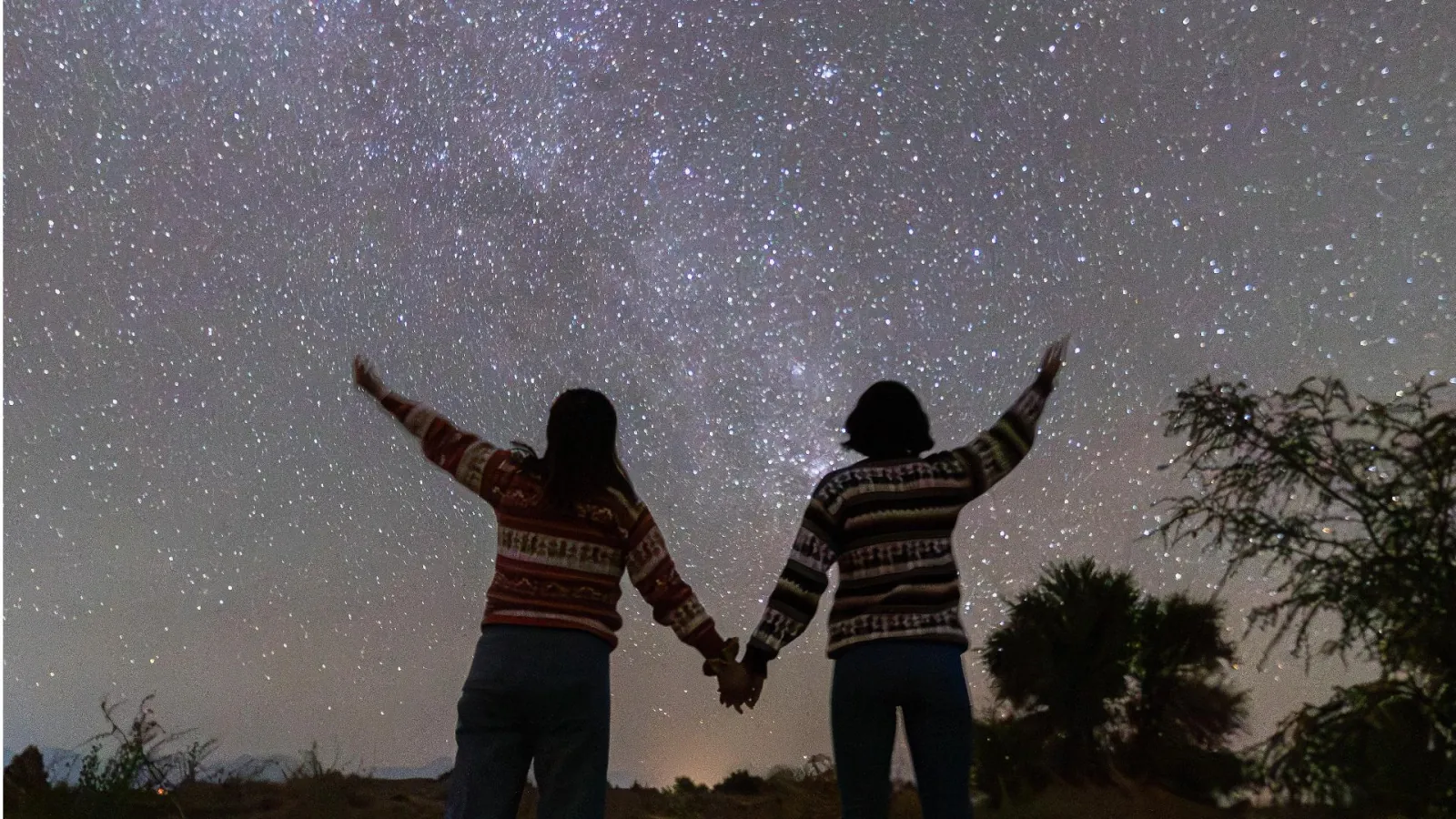 Two guests in patterned sweaters hold hands and raise their arms toward the Milky Way above desert scrub