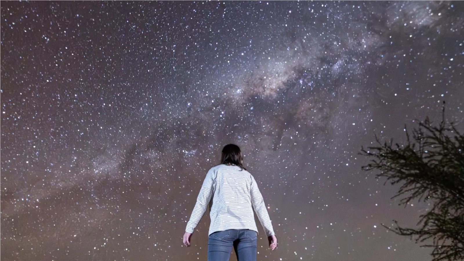 A guest in a white sweater stands with her back to the camera beneath the band of the Milky Way