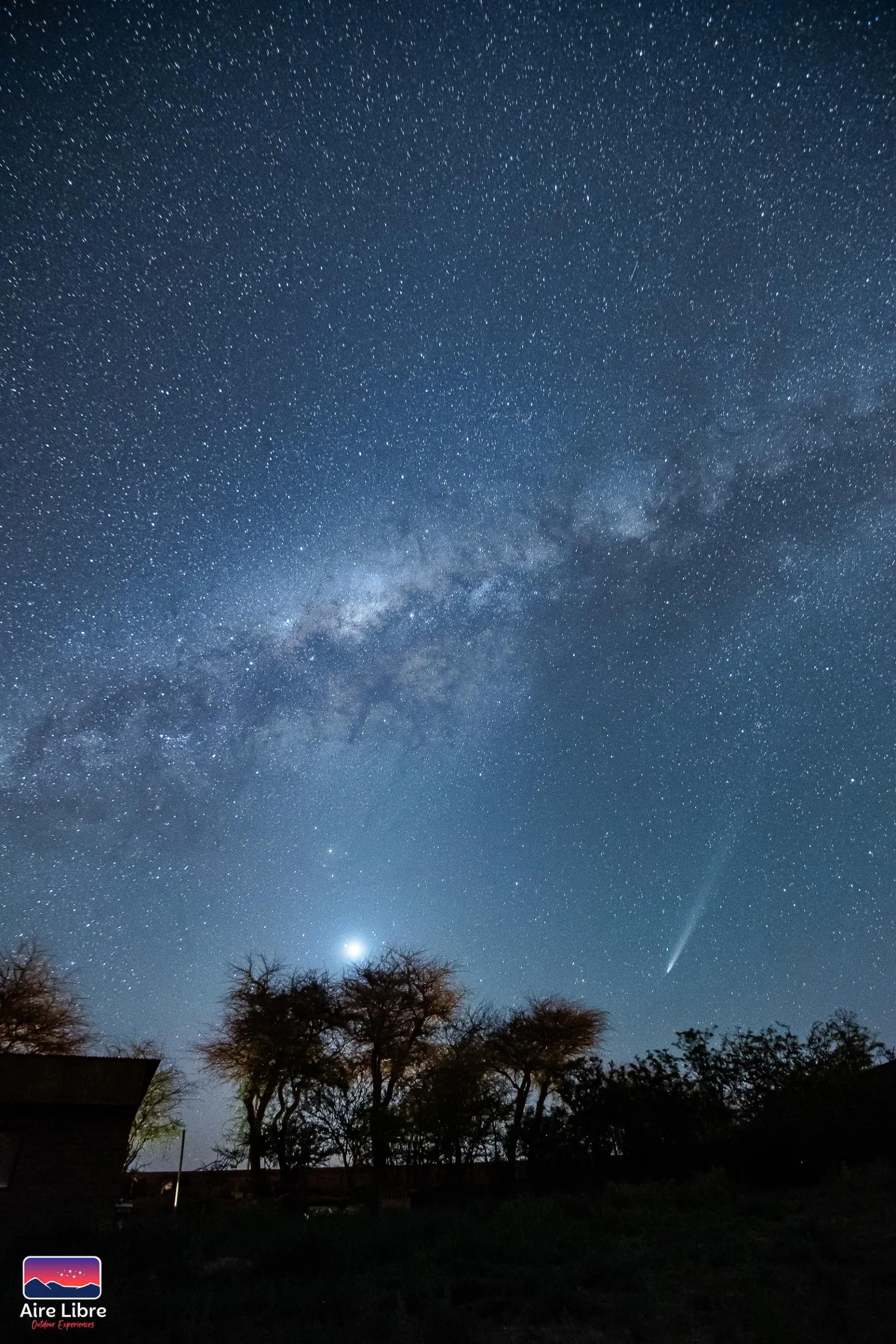 The Milky Way, a bright planet and a comet with a thin tail hang above desert trees near San Pedro de Atacama
